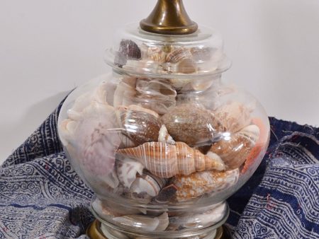 Vintage Seashells Ginger Jar Lamp, Coastal Beach Seaside Bungalow Decor For Discount