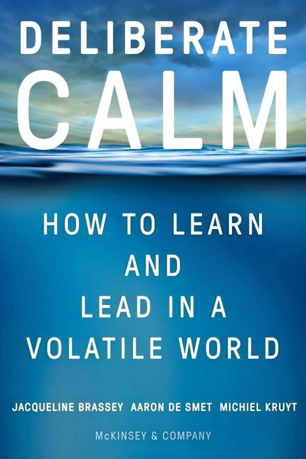 Deliberate Calm: How To Learn And Lead In A Volatile World For Cheap