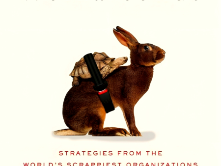 The Four Workarounds: Strategies From The World s Scrappiest Organizations For Tackling Complex Problems Hot on Sale