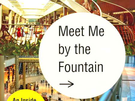 Meet Me By The Fountain: An Inside History Of The Mall For Cheap